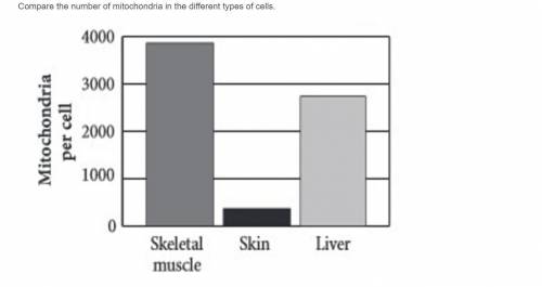 Compare the number of mitochondria in the different types of cells.