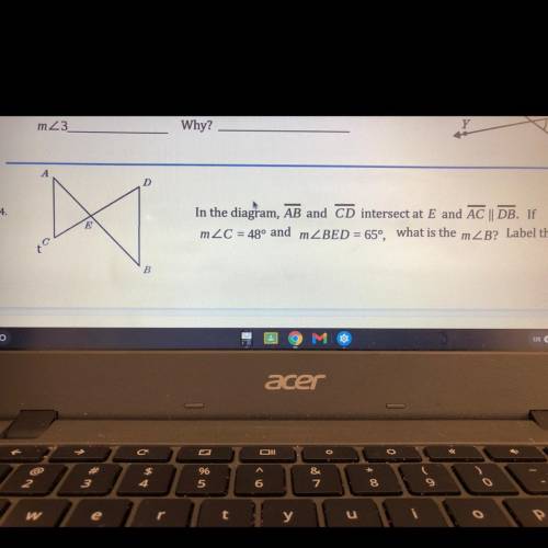 Help me find measure angle b pls