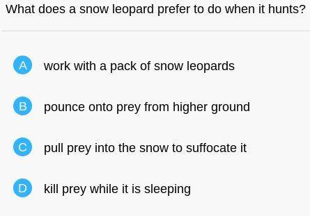 What does a snow leopard prefer to do when it hunts?