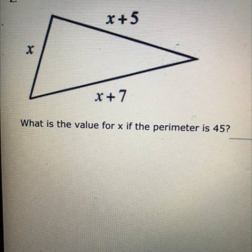 What is the value for x if the perimeter is 45