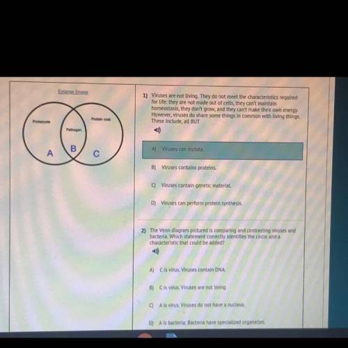 Need help ASAP!!

In the middle of the diagram it says pathogen, to the left it says prokaryote an