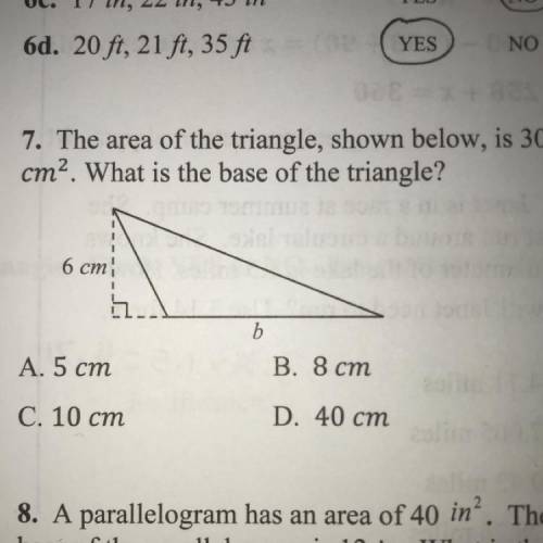 What is the base of the triangle? Pls I need it ASAP