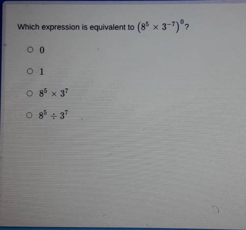 Which expression is equivalent to (8” x 3-?) Please answer i need help​