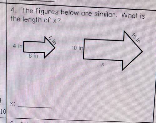 What is the length of x ​