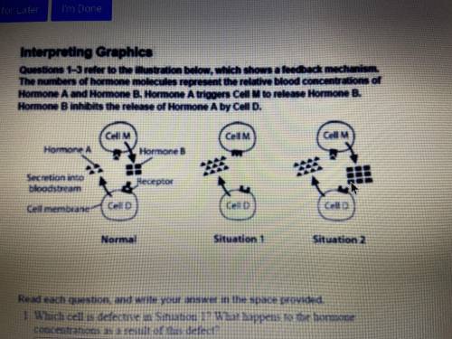 which cell is defective in situation 2? what happens to the hormone concentrations as a result of t