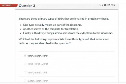 Plz help me. will give brainliest to the correct answer :)