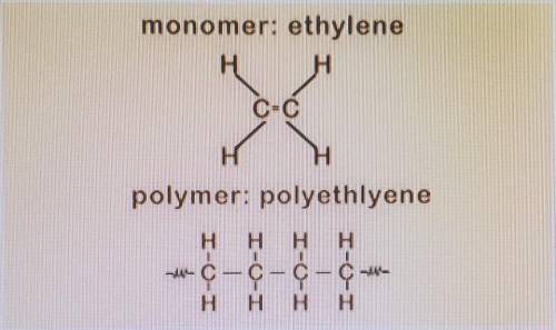 Use the diagram below to answer the following for 1 point each: • How does ethylene relate to polye