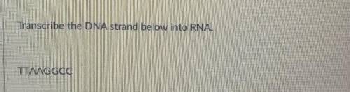 Transcribe the DNA strand below into the RNA​