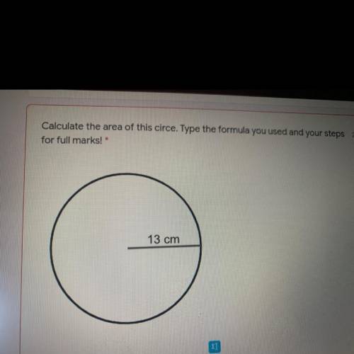 Calculate the area of this circle. Type the formula you used and your steps.