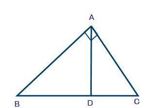 PLEASE HELP!

Seth is using the figure shown below to prove Pythagorean Theorem using triangle sim