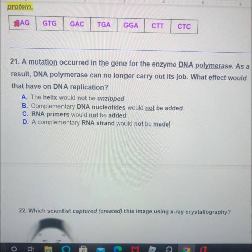 21. A mutation occurred in the gene for the enzyme DNA polymerase. As a

result, DNA polymerase ca