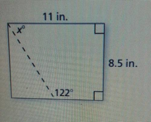 Find the value of x. Just put in the number.​