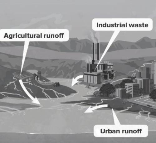 HELP PLS

The image shows various human activities that produce pollution. Which statement below i