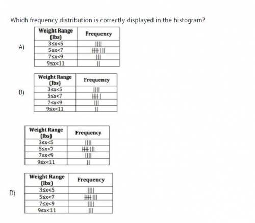 Which frequency distribution is CORRECTLY displayed in the histogram?