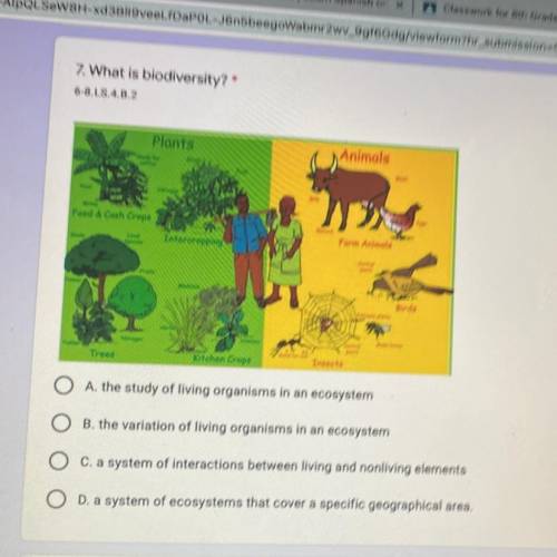 What is biodiversity? 
Answers for the question is in the picture! NO LINKS OR FILES!