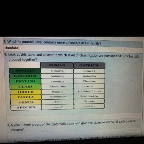 8. Look at this table and answer in which level of classification are humans and ostriches still