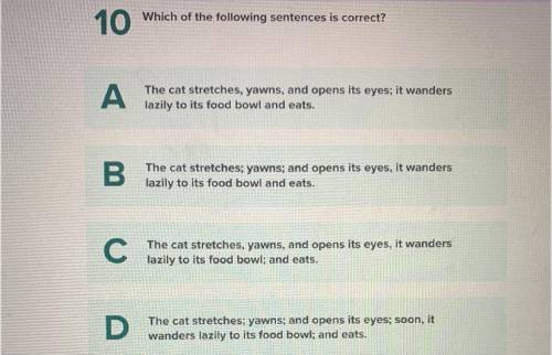 Please help this is a quiz and it’s due today pleaseeeeeeeeee