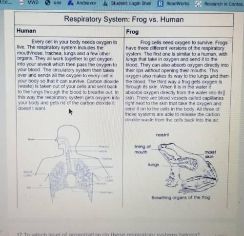 20. Describe the differences between the respiratory system of frogs and the respiratory system of