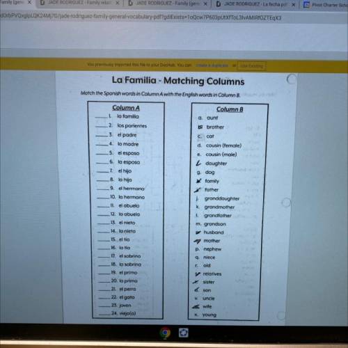 La Familia - Matching Columns

Match the Spanish words in Column A with the English words in Colum