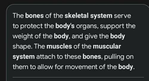 How does the muscular system work together with skeletal system?