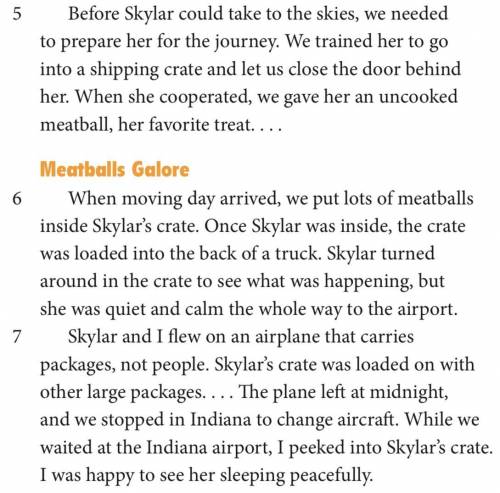 How do key details in paragraphs 5 through 7 help support the main idea of “Flying with a Tiger”?