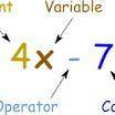 What are variable terms what is the constant term