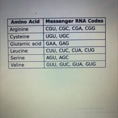 The messenger RNA codes for six different amino acids are shown in

the table.
In on type of mutat