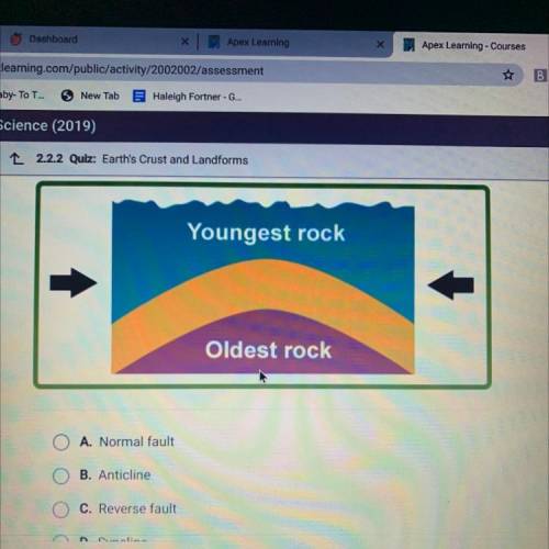 Which type of feature of Earth's crust does the diagram show?
Youngest rock
Oldest rock