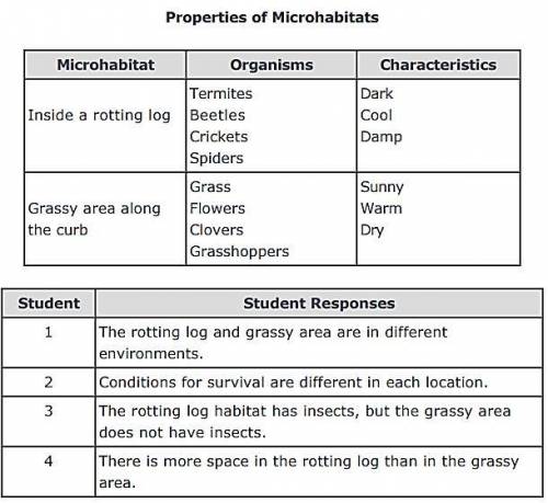 Four students were asked to observe microhabitats of their schoolyard and describe how microhabitat