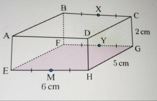 Name the angle between the line segment [CM] and the base plane (highlighted in purple) of the figu