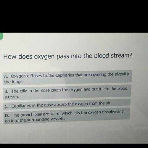 How does oxygen pass into the bloodstream