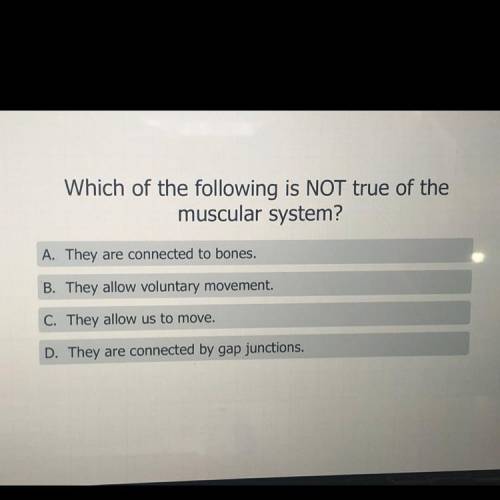 Which of the following is not true of the muscular system