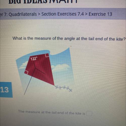 What is the measure of the angle at the tail end of the kite?