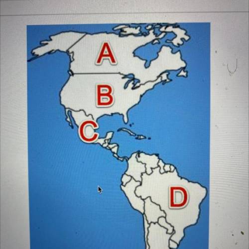 Which letter on the map is labeling the country of Brazil?

A)
А
B)
B
C)
С
D)
D