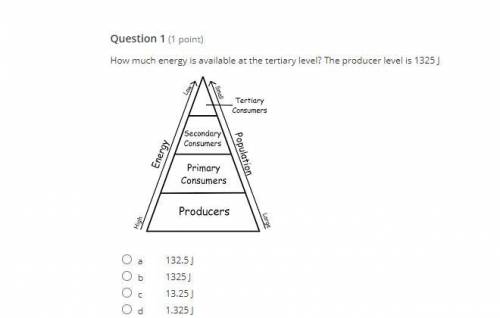 How much energy is available at the tertiary level? The producer level is 1325 J.

a. 132.5 J
b. 1