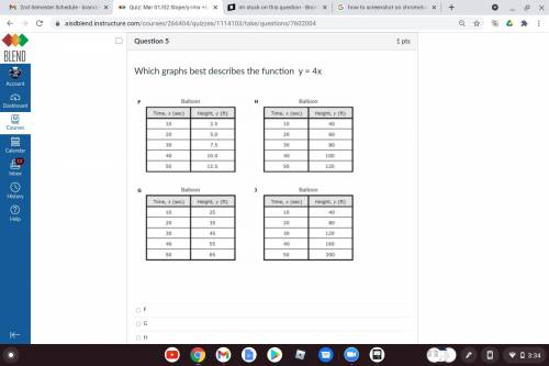 Which graphs best describes the function y = 4x