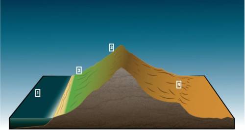 Describe the connection between a mountain range and a rain shadow. This illustration shows the cro