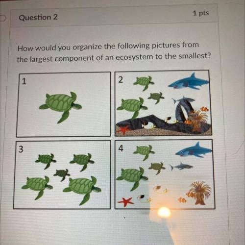 Organization by the largest component of an ecosystem to the smallest