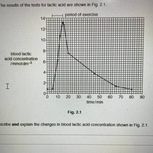 Describe and the explain the changes in blood lactic acid and concentration shown in the graph || g