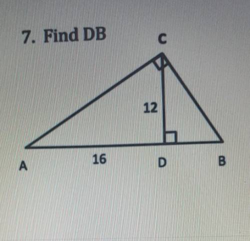 What does DB equal in this triagle?​