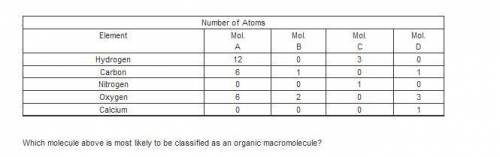 Which molecule above is most likely to be classified as an organic macromolecule?