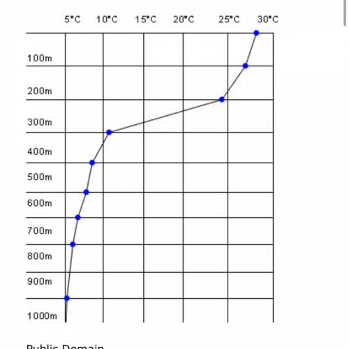 Using the graph below, at what depth does the thermocline begin?

0 meters
100 meters
200 meters
3