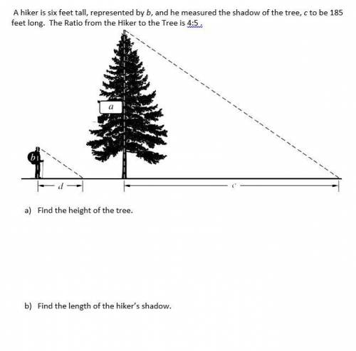 A) The Tree's Height: ft
b) Length of Shadow ft