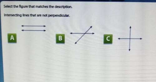 What is this mean? Select the figure that matches the description. Intersecting line that are not
