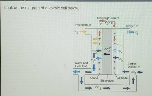 Look at the diagram of a voltaic cell below.

Which half reaction occurs at the cathode in this ce