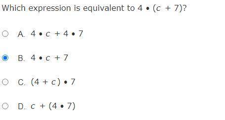 Im not too sure about my answer so if you could please help me. its the last question