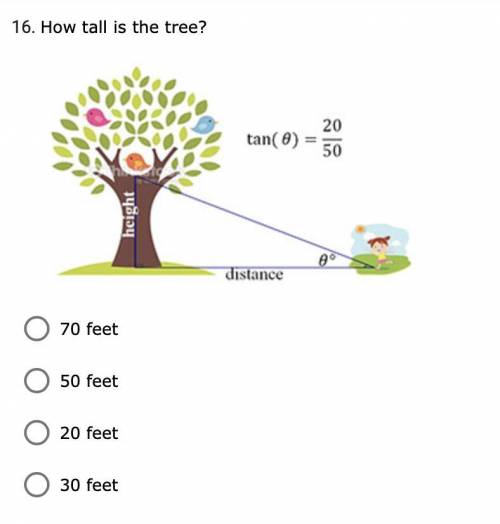 How tall is the tree?
