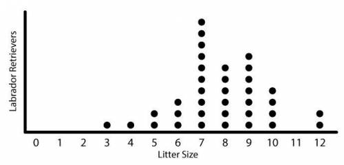 The following dot plot represents the litter sizes of a random sample of labrador retrievers.

Cal
