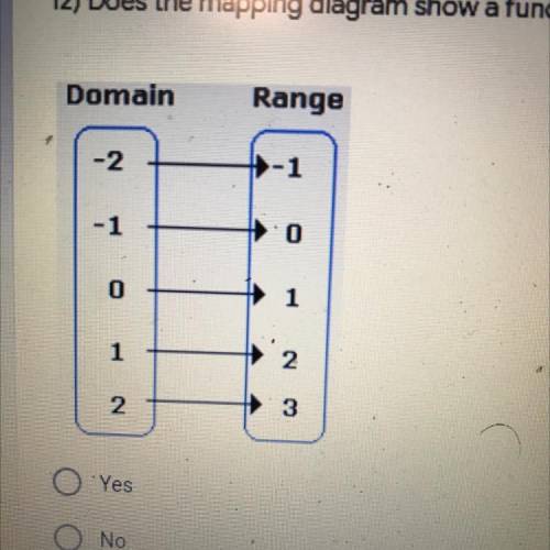 19) Does the mapping diagram show a function?
