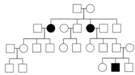 Can someone make a pedigree problem with the image and also give an answer to Punnett square and an